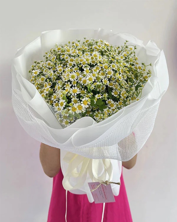 Bó Hoa Sinh Nhật ANF19