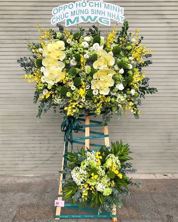 Kệ Hoa Khai Trương ANF14