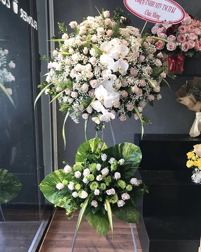 Kệ Hoa Khai Trương ANF15