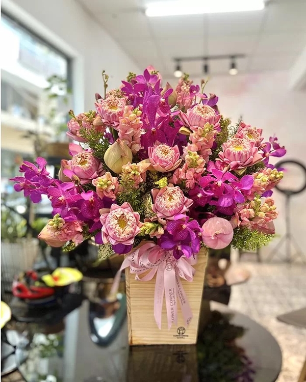 Lãng Hoa Chúc Mừng ANF29