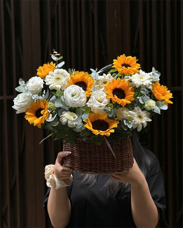 Lãng Hoa Chúc Mừng ANF2