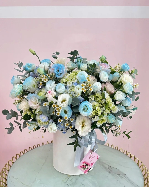 Lãng Hoa Chúc Mừng ANF11