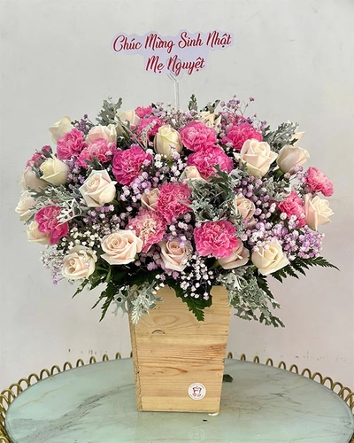 Lãng Hoa Chúc Mừng ANF19