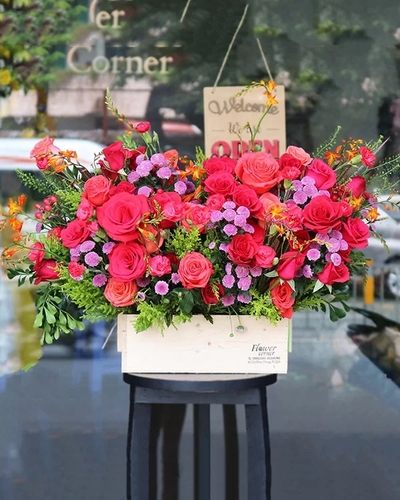 Lãng Hoa Chúc Mừng ANF23