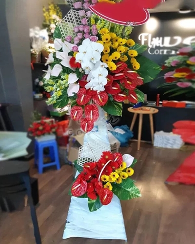 Kệ Hoa Khai Trương ANF38