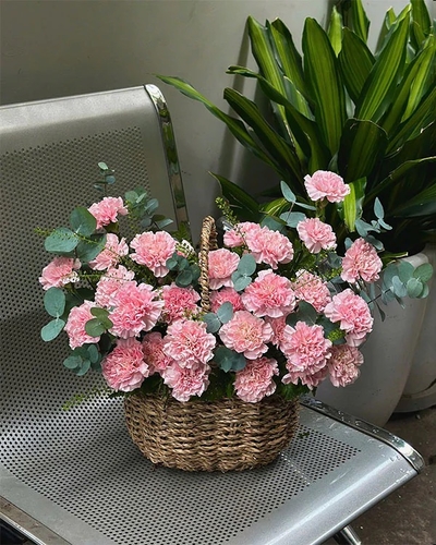 Giỏ Hoa Chúc Mừng ANF5