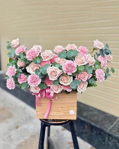 Lãng Hoa Chúc Mừng ANF10