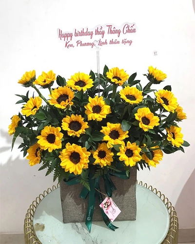 Lãng Hoa Chúc Mừng ANF12