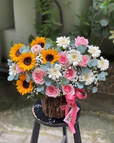 Lãng Hoa Chúc Mừng ANF14