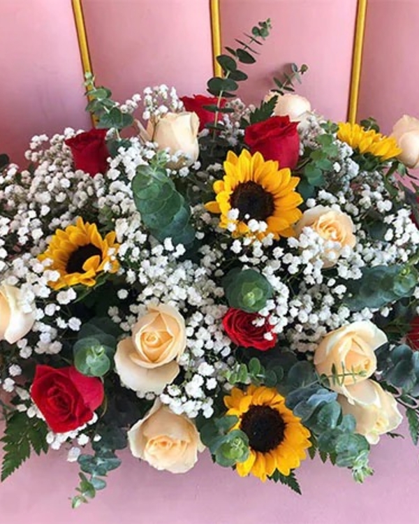 Hoa Hội Nghị ANF1