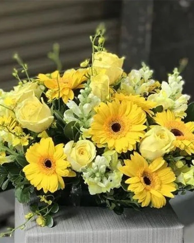 Hoa Hội Nghị ANF3